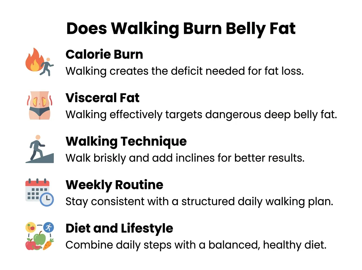 Does Walking Burn Belly Fat?