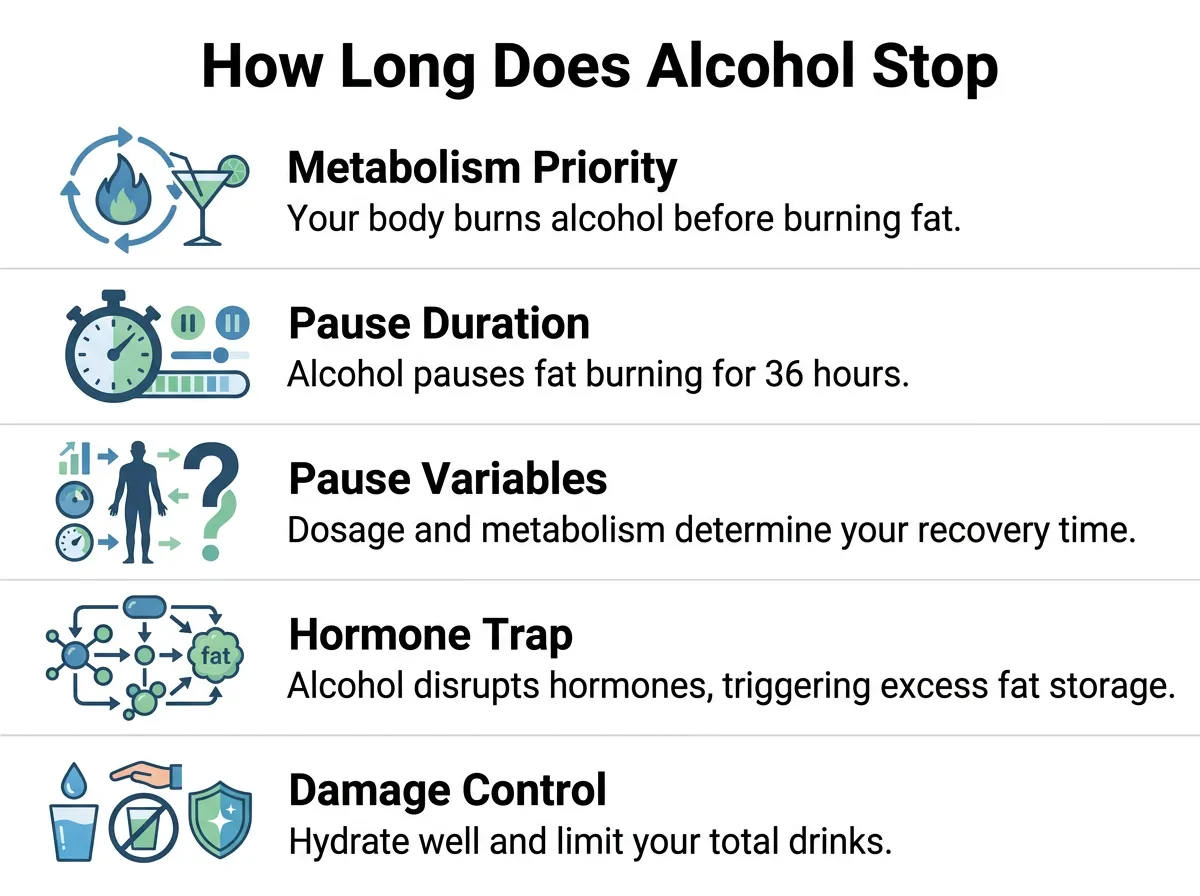 How Long Does Alcohol Stop Fat Burning?